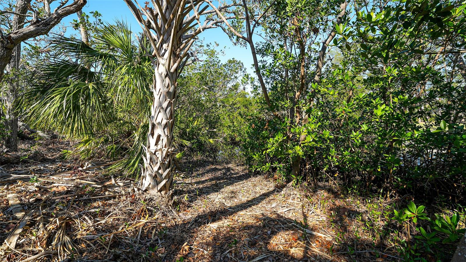 LONGBOAT SHORES REV - Land
