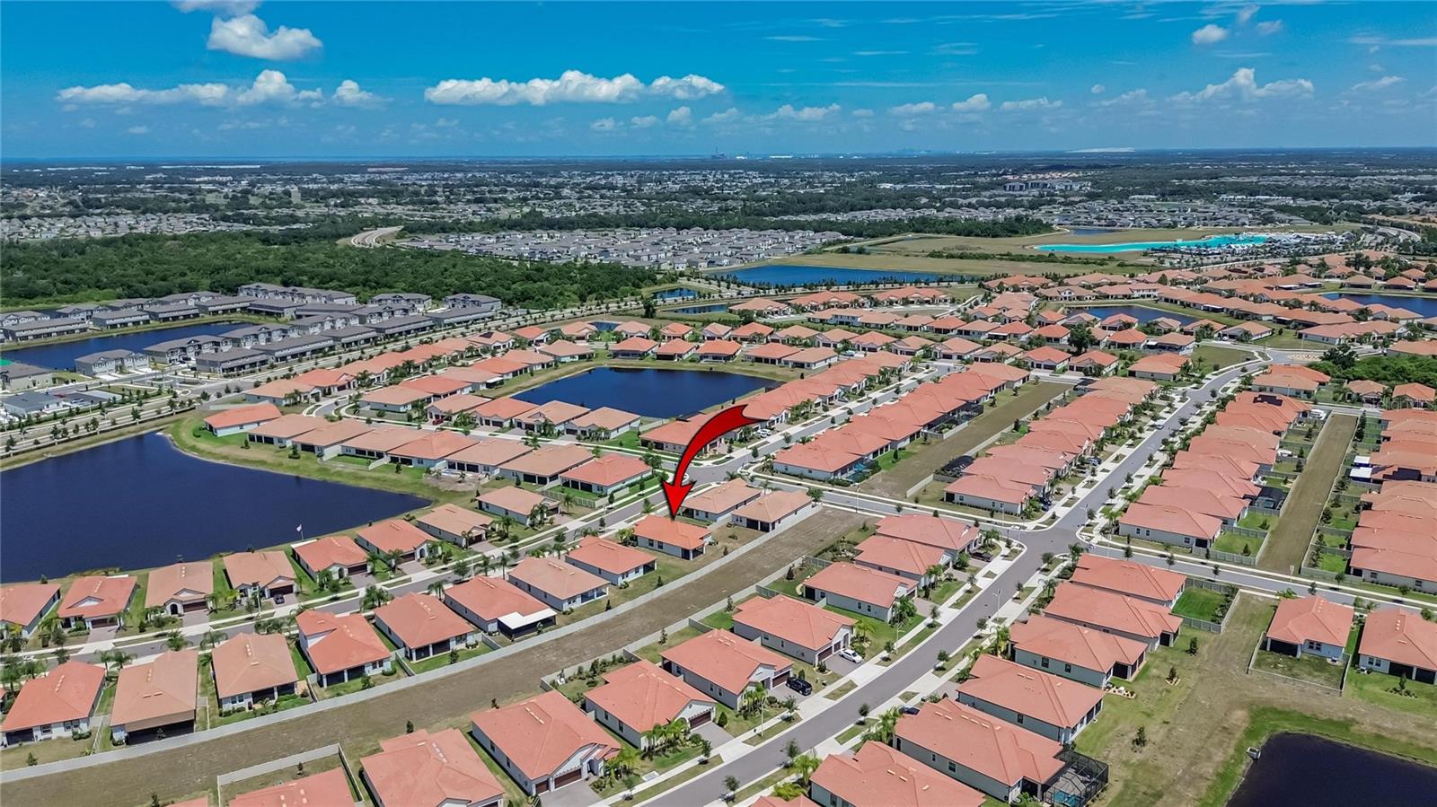 FOREST BROOKE ACTIVE ADULT EXT - Residential