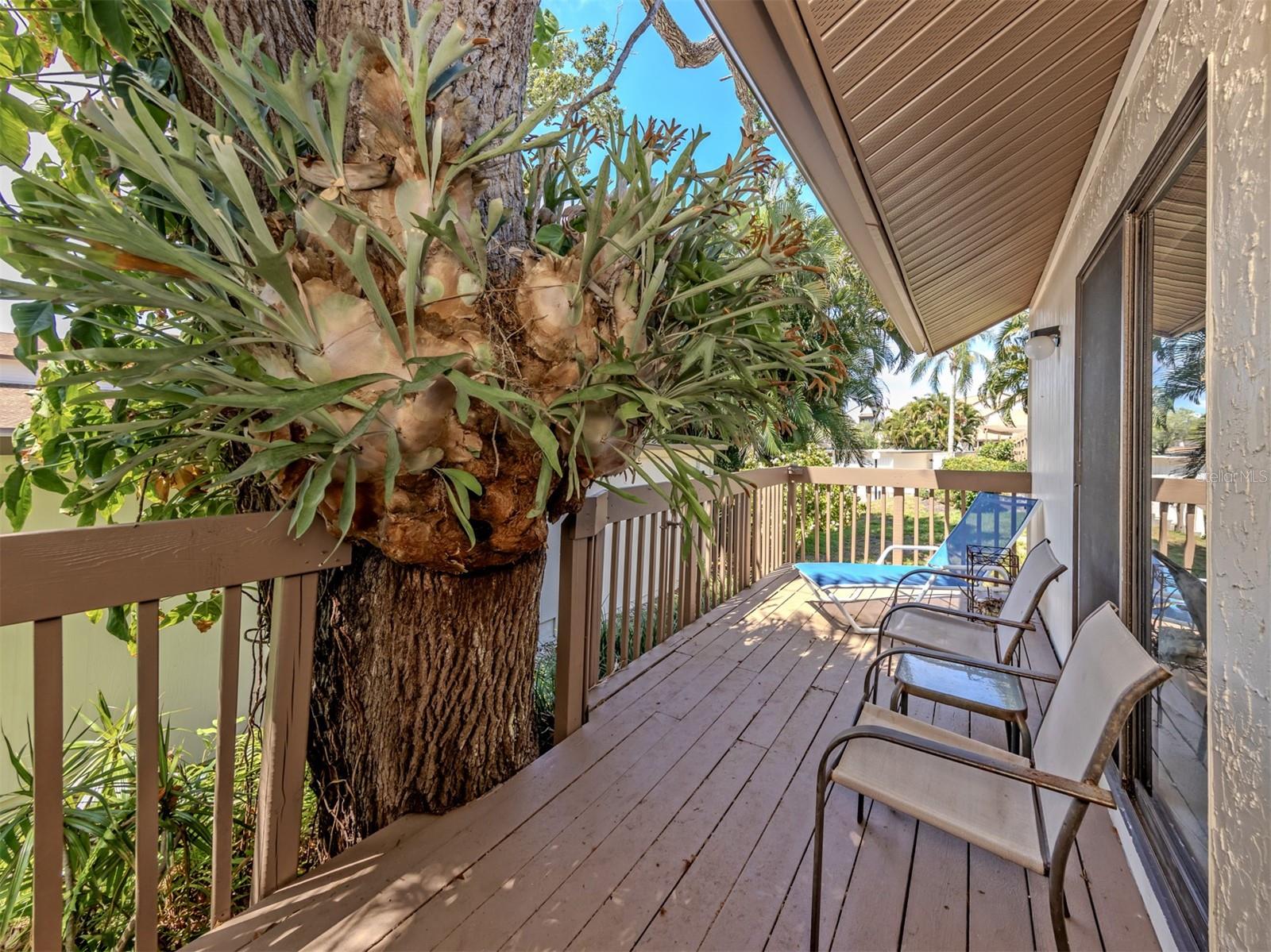 BIRD BAY II - Residential