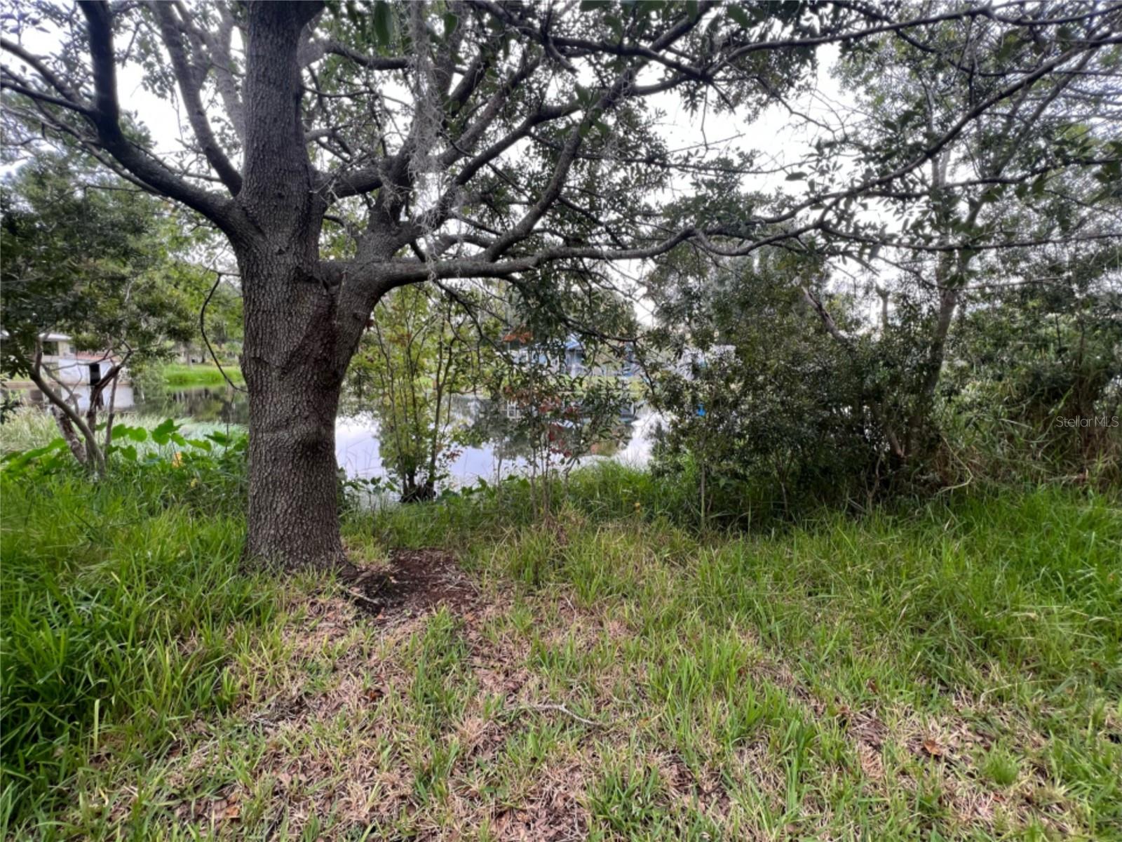 NOT IN SUBDIVISION - Residential