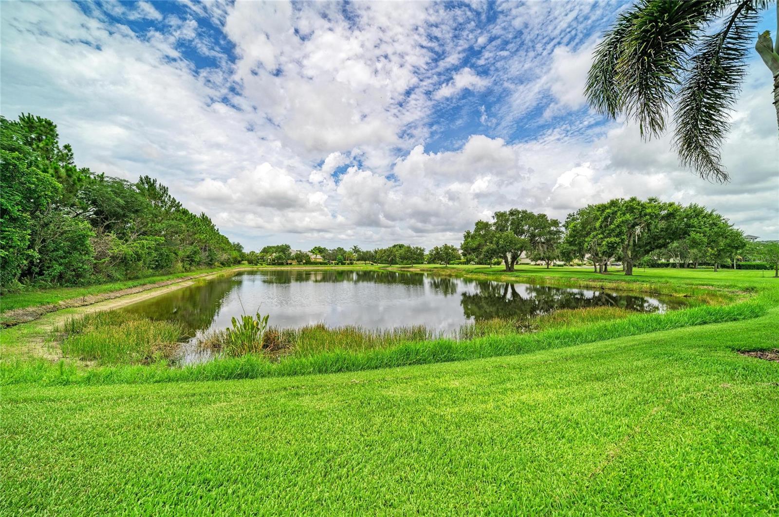 EAGLE TRACE PH I - Residential
