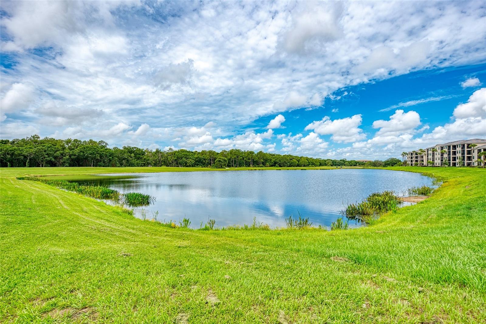LAKEWOOD NATIONAL - Residential Lease