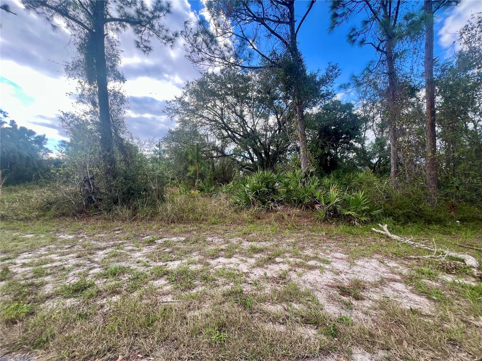 Very nice lot with a western rear exposure in fast developing Port Charlotte.
