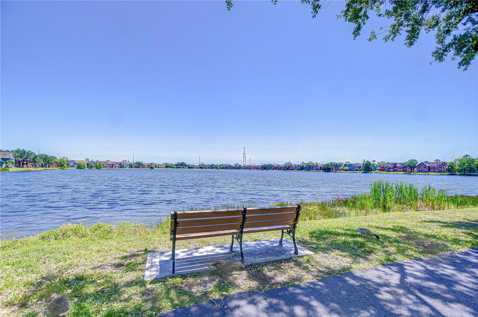 LAKE CHASE CONDO - Residential