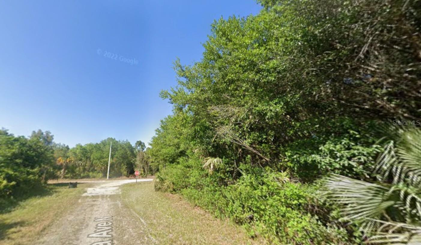 0.25-acre residential lot located in a low-density, lightly developed area of Lehigh Acres. This parcel offers a more private and remote setting compared to busier sections of the community, providing added space and separation from high-traffic roads. Zoned for single-family residential use. Electricity available in the area; well and septic required. No HOA restrictions. Public road access. Suitable for buyers seeking a quiet homesite location while remaining within driving distance of shopping, schools, and major roadways connecting to Fort Myers and surrounding areas. Buyer to verify zoning, utilities, and building requirements with Lee County.