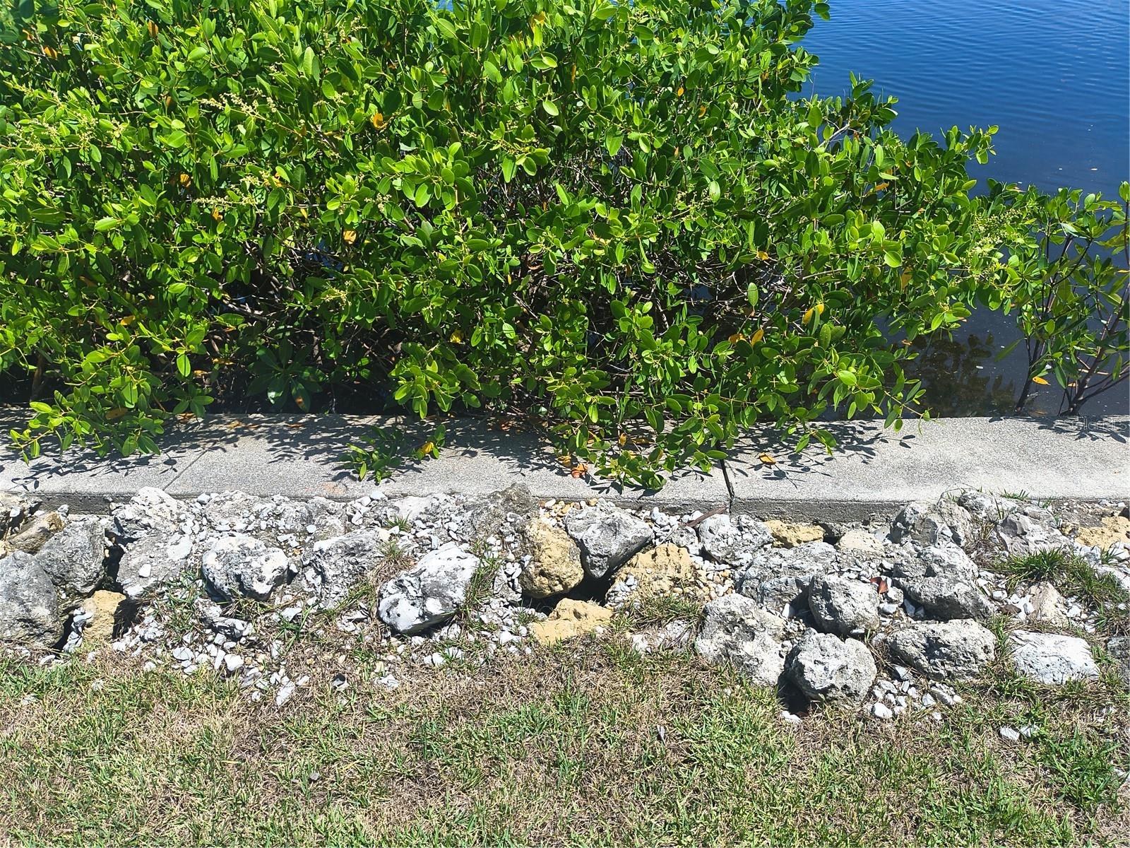 PORT CHARLOTTE SEC 079 - Residential