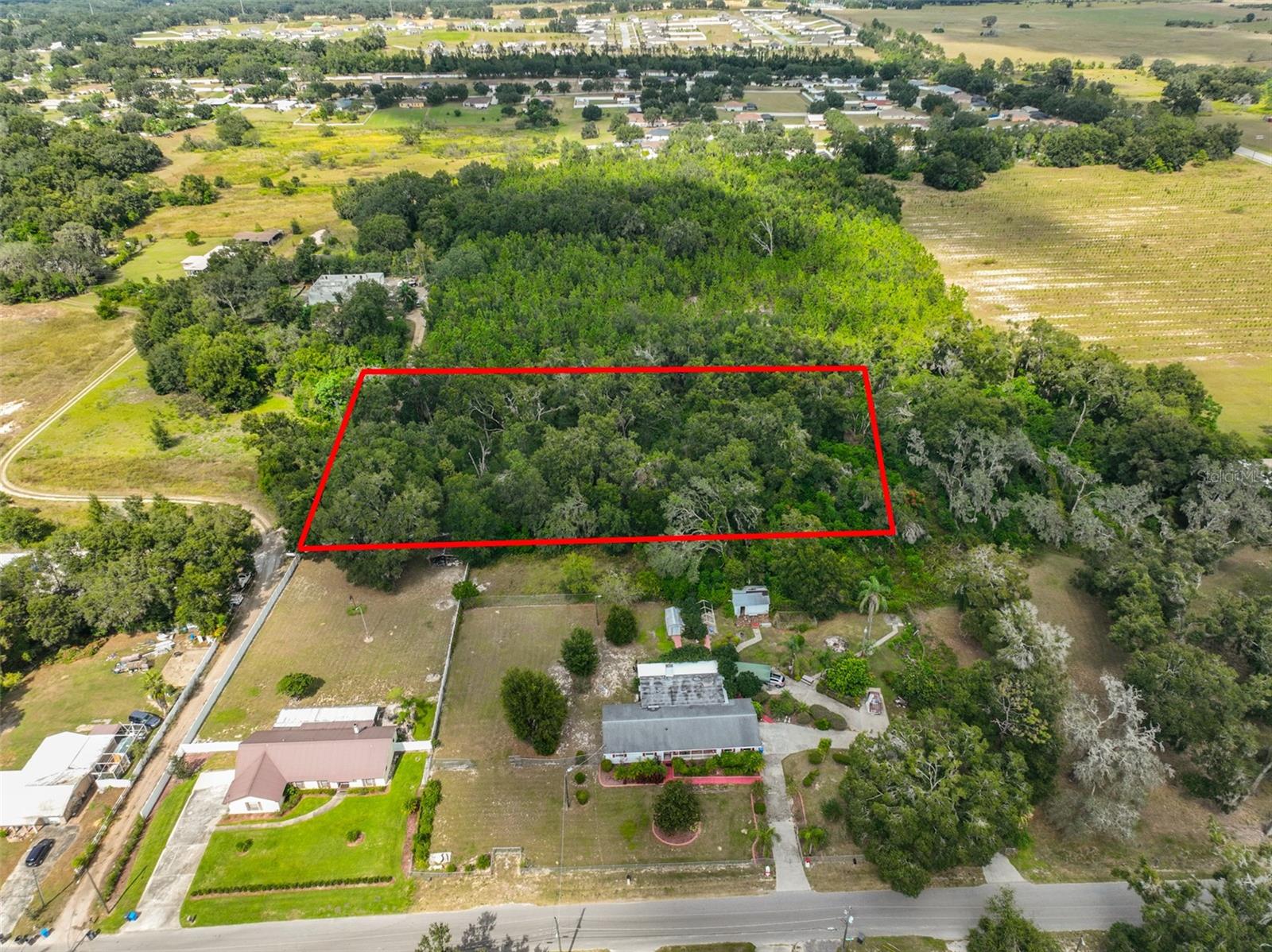 Discover the ideal setting for your dream home on this 1.62 acre, beautifully wooded lot. Unique opportunity to create your own slice of paradise. With its pristine natural beauty and limitless potential, this property serves as the perfect blank canvas for your vision. Whether you dream of building a custom home, starting a hobby farm, or escaping the hustle and bustle of city life, the only limit is your imagination. Close to Valrico, Brandon, Dover and Thonotosassa! This spacious vacant lot is made for you! Plenty of room for your family, BBQs, and outdoor fun. Enjoy peace, privacy, & freedom. No Deed Restrictions and No HOA or CDD fees! Just a few minutes away from all of the major highways, Brandon Mall, & MacDill AFB. A short distance to Fair Grounds for concerts, and only a quick 20-minute drive to Downtown Tampa, you'll have all the excitement Channelside, Tampa Riverwalk, Amalie Arena, and countless restaurants and attractions at your fingertips. Offering endless possibilities!!!