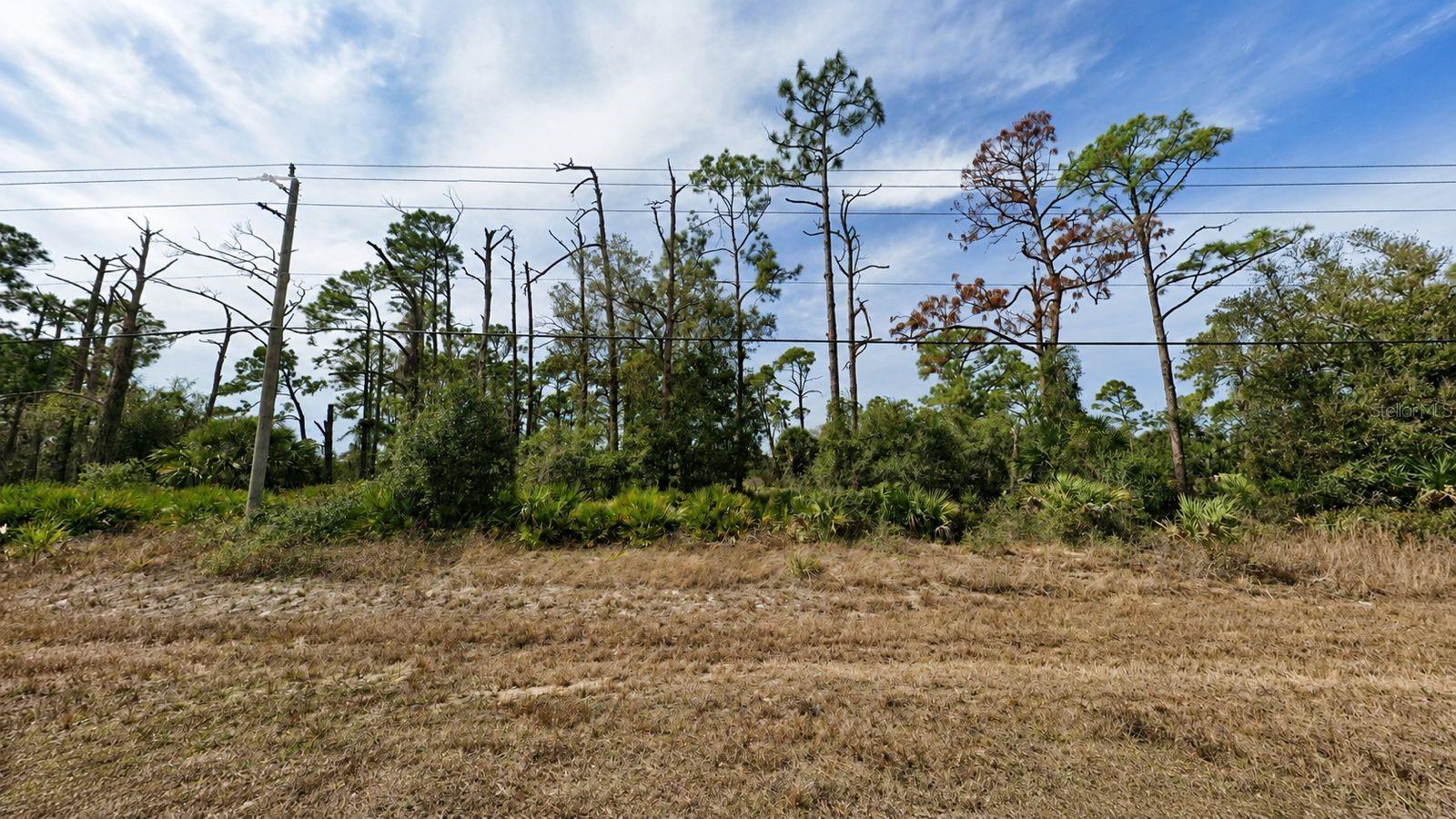 Excellent opportunity to build your Florida dream home on this residential lot in the growing community of Port Charlotte. This oversized homesite is located in an established neighborhood with no deed restrictions, offering convenient access to shopping, dining, schools, golf courses, parks, and medical facilities. Just a short drive to Charlotte Harbor, beautiful Gulf beaches, boat ramps, and world-class fishing. Public utilities are nearby, making this an ideal location for your primary residence, vacation home, or investment property. Don't miss the chance to own land in one of Southwest Florida's fastest-growing areas!