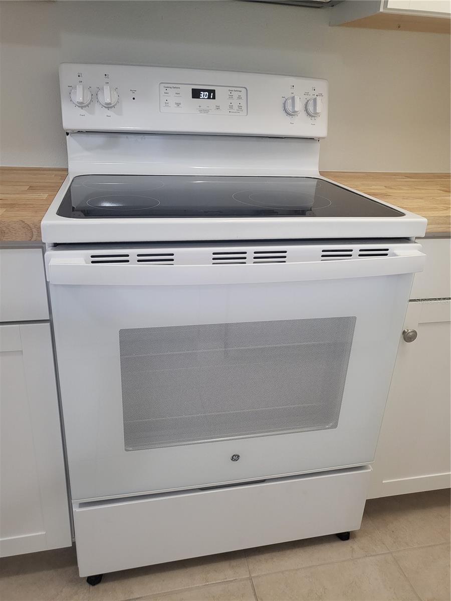 TAVARES LAKEVIEW CONDO - Residential