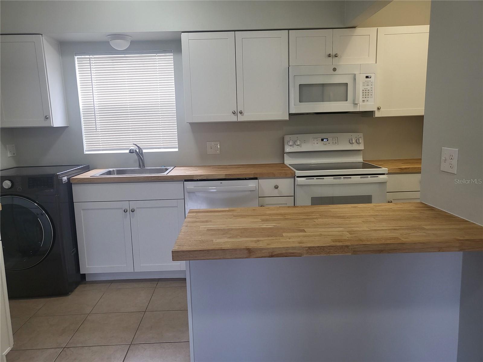 TAVARES LAKEVIEW CONDO - Residential