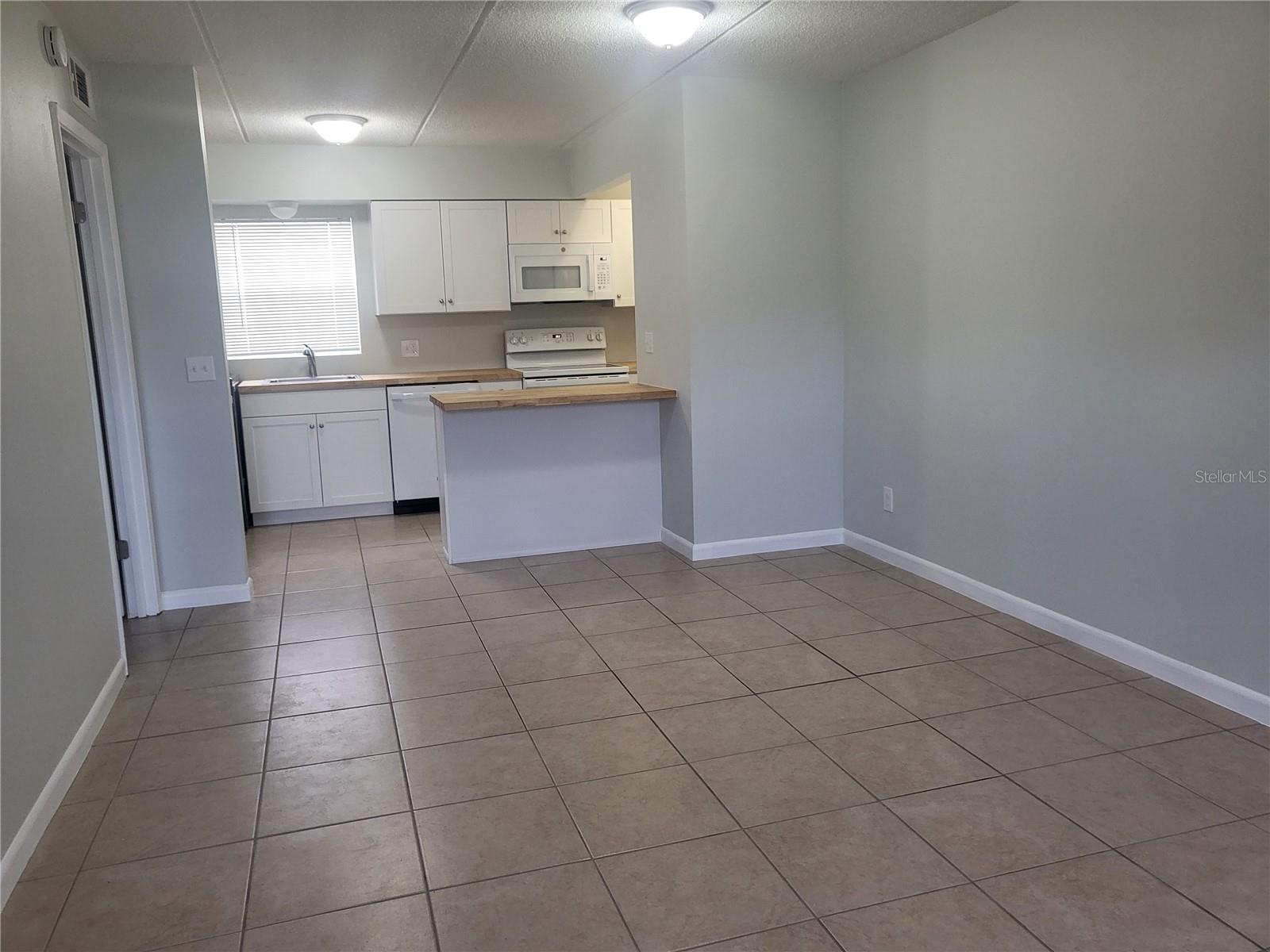 TAVARES LAKEVIEW CONDO - Residential
