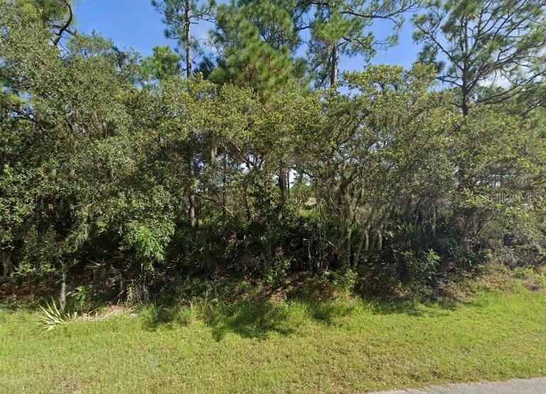 SEBRING COUNTRY ESTATE SEC 03 - Land