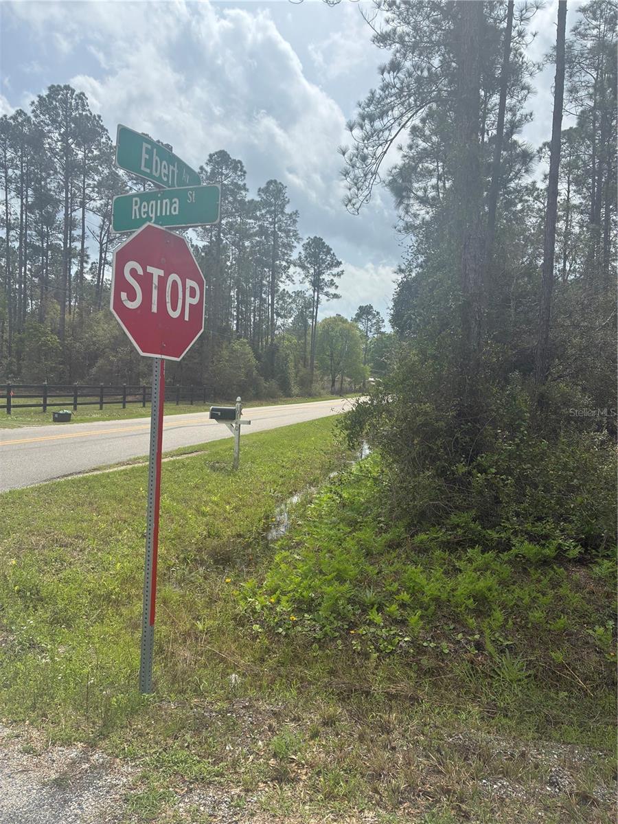 FLAGLER ESTATES - Land