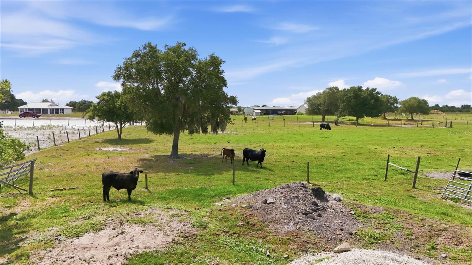 MYAKKA CITY AREA - Residential