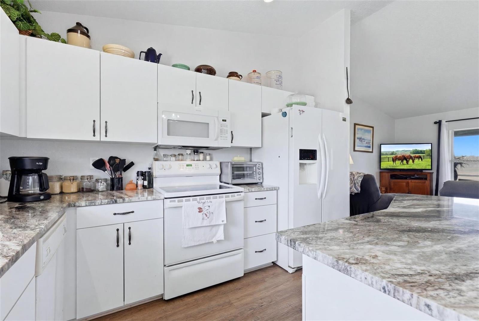 MYAKKA CITY AREA - Residential