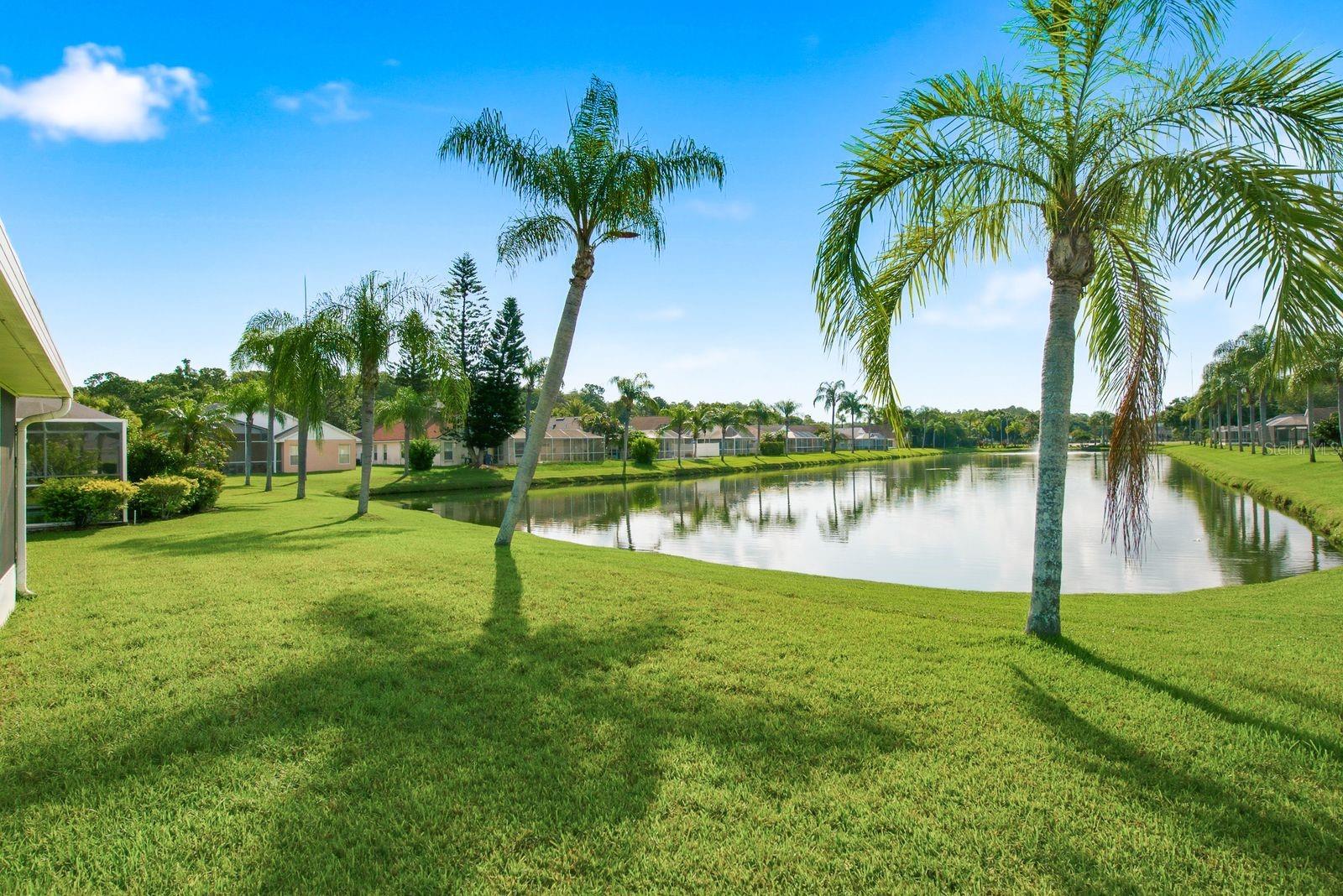 FOUNTAINS AT CYPRESS LAKES THE - Residential Lease