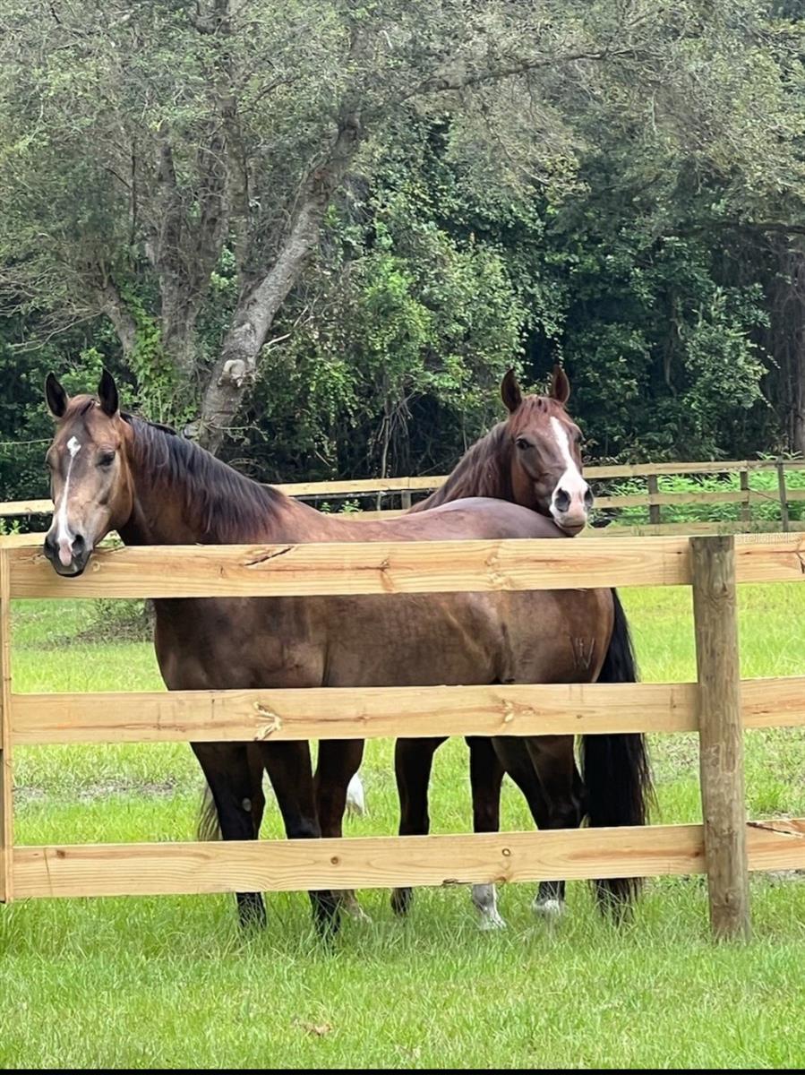 RESI - Farm