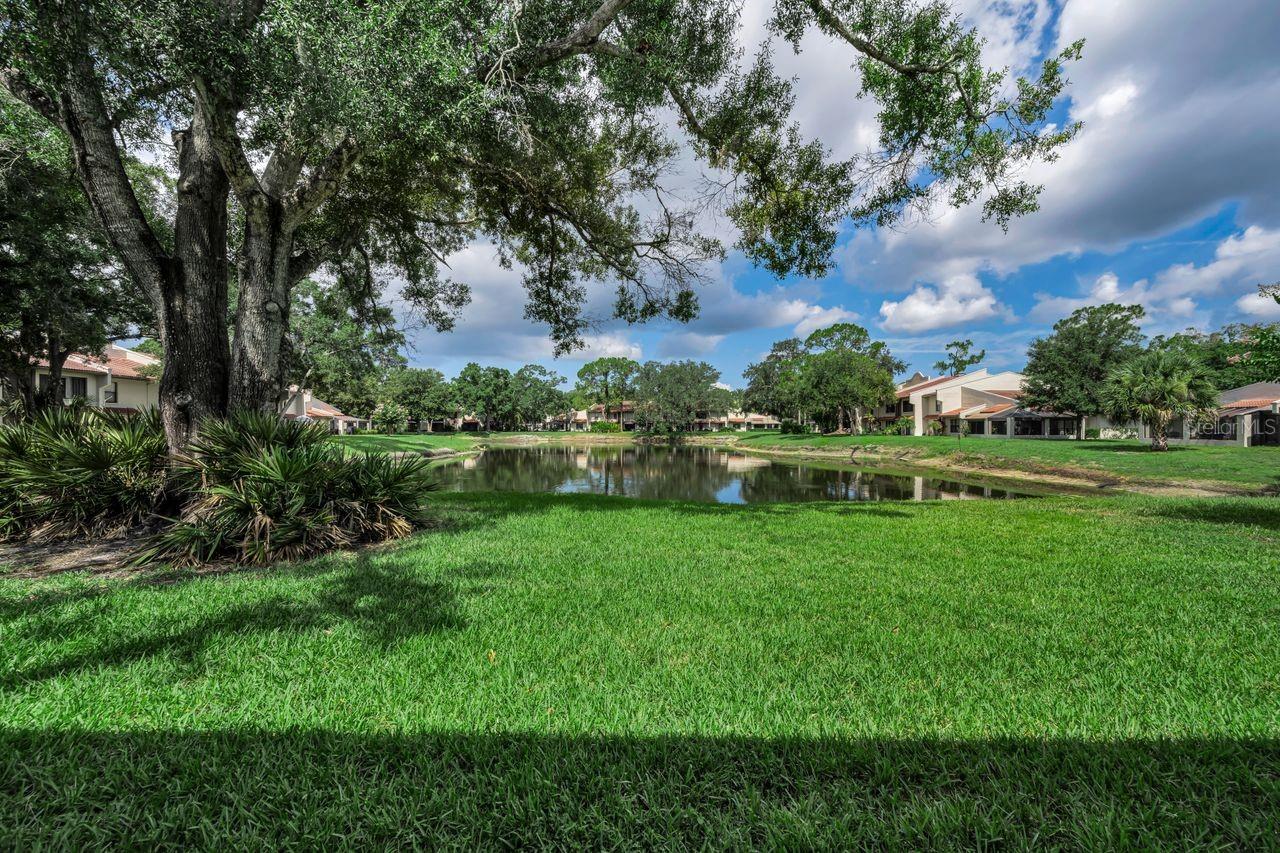 CONDO IV TARPON WOODS - Residential