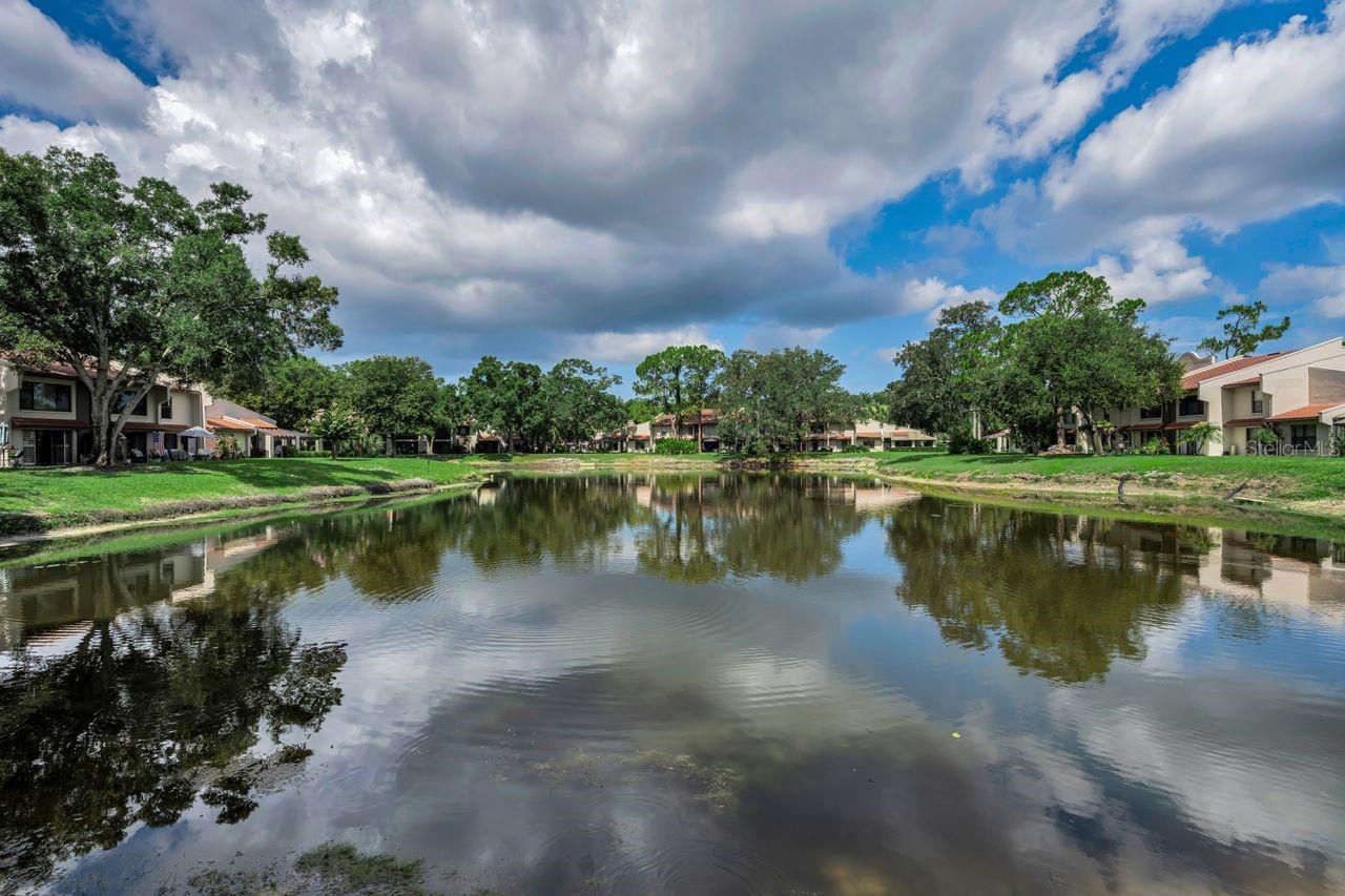 CONDO IV TARPON WOODS - Residential