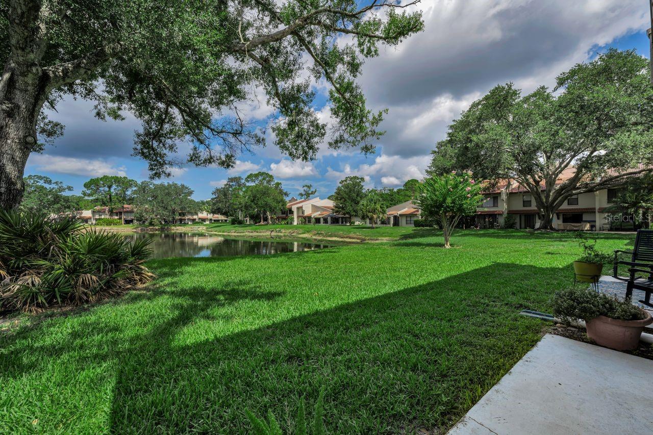 CONDO IV TARPON WOODS - Residential