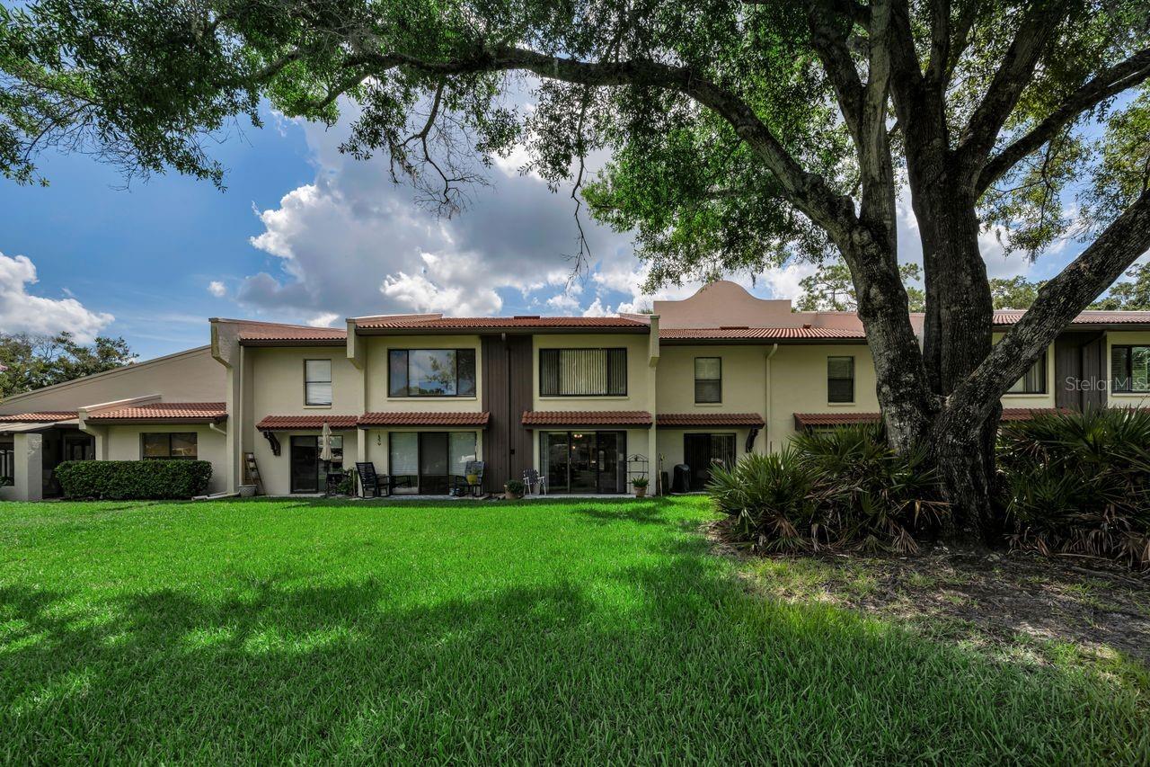 CONDO IV TARPON WOODS - Residential