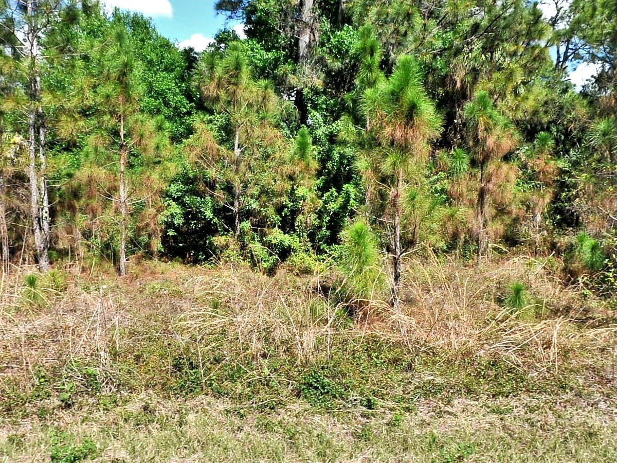Motivated seller. Vacant lot available.