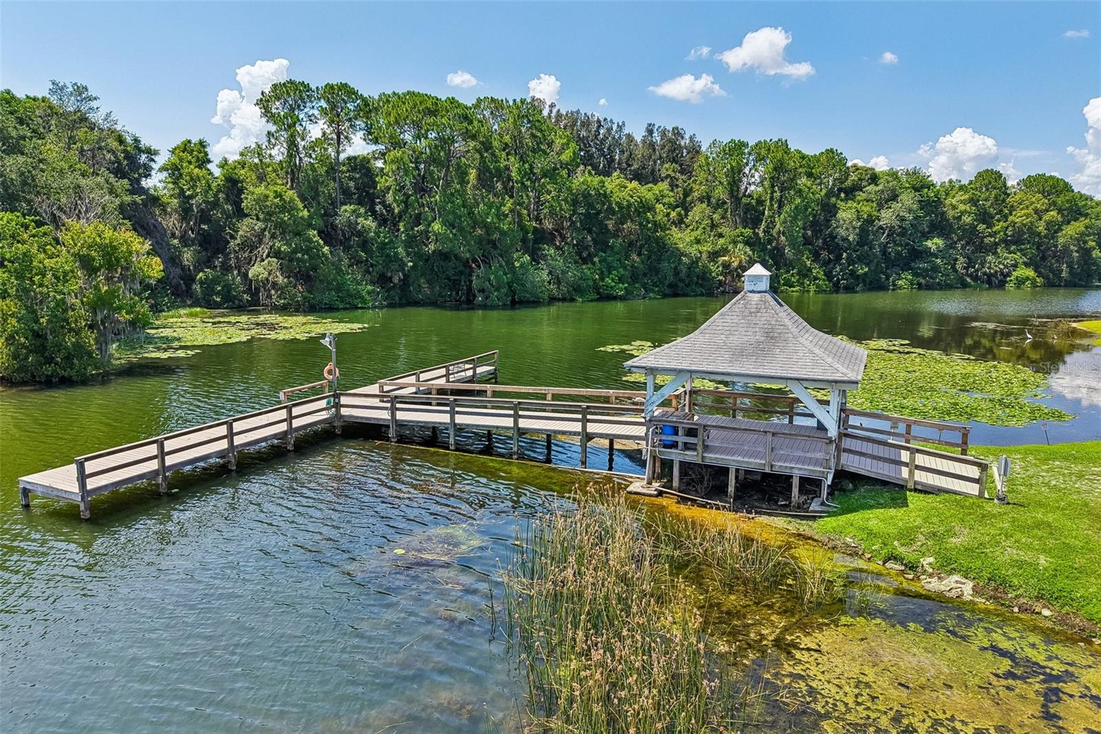 TAVARES LAKE FRANCES ESTATES - Residential