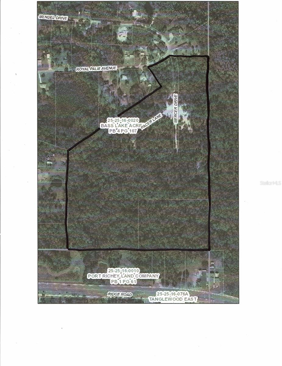 Approximately 46.5 residential acres consisting of 2 separate parcels - 25-25-16-0020-00000-0310 and 25-25-16-0020-00000-0390 - on the edge of New Port Richey in an area of new homebuilding, including across the road, where 4-lane Ridge Rd connects east to major Tampa roadways. Fenced frontage with security gate. Nere a private airport, Lowes, Home Depot, banks, restaurants, county govt center, retail and office space. Next to 650 acres of preserves, this property offers seclusion with riding trails, deer, turkey, hog and forest. Suitable for a multifamily development, premium homesites or a self-sustaining homestead with room for crops and animals with year-round supply of freshwater. Pasco Dev. Review board has indicated that rezoning to a higher density like MPUD or multifamily is feasible. Property is now accessed from the north off Royal Palm Ave. Public utilities are available nearby. WARNING: This is hunting ground. Owners present. Do not enter unannounced.