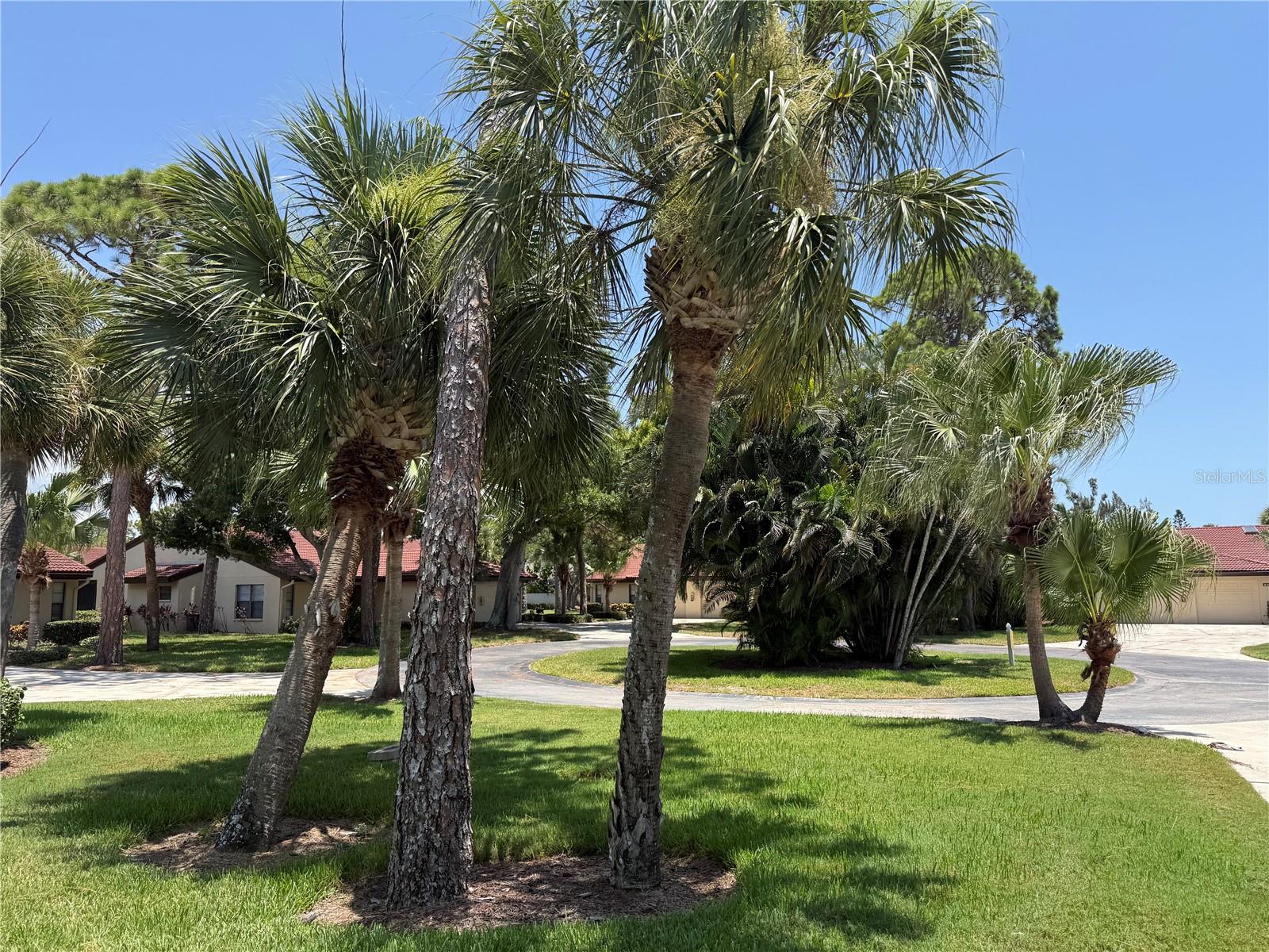 VILLAGE DES PINS II - Residential