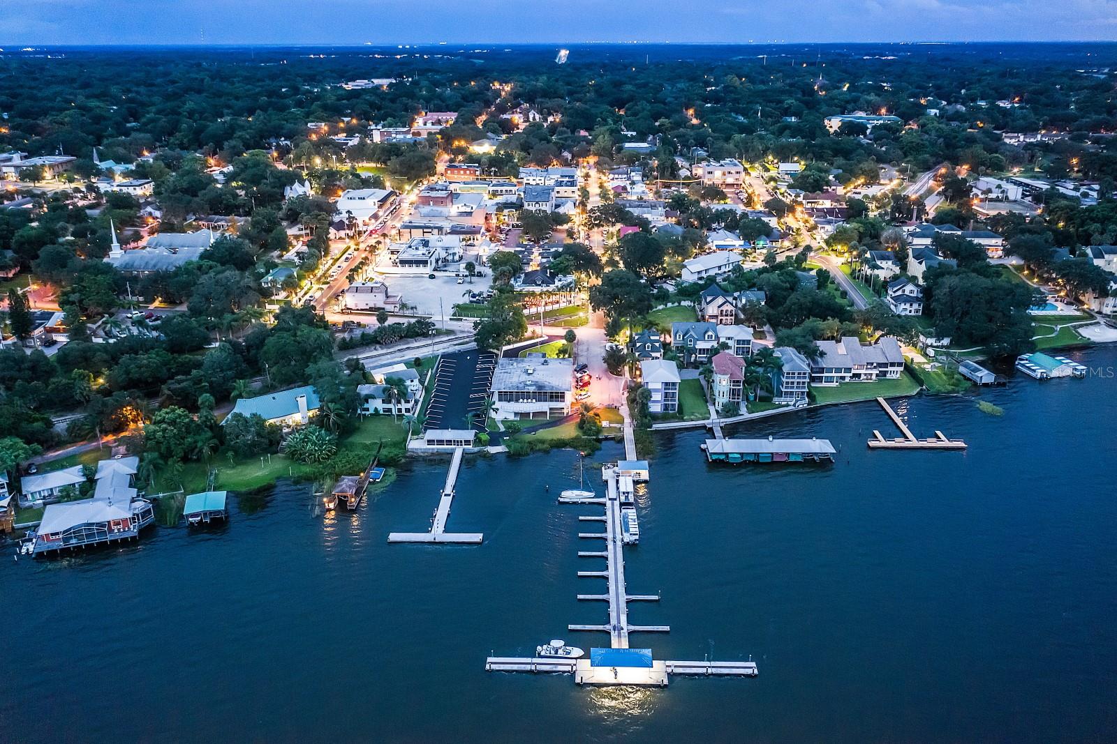 MOUNT DORA COLONIAL ARMS CONDO - Residential