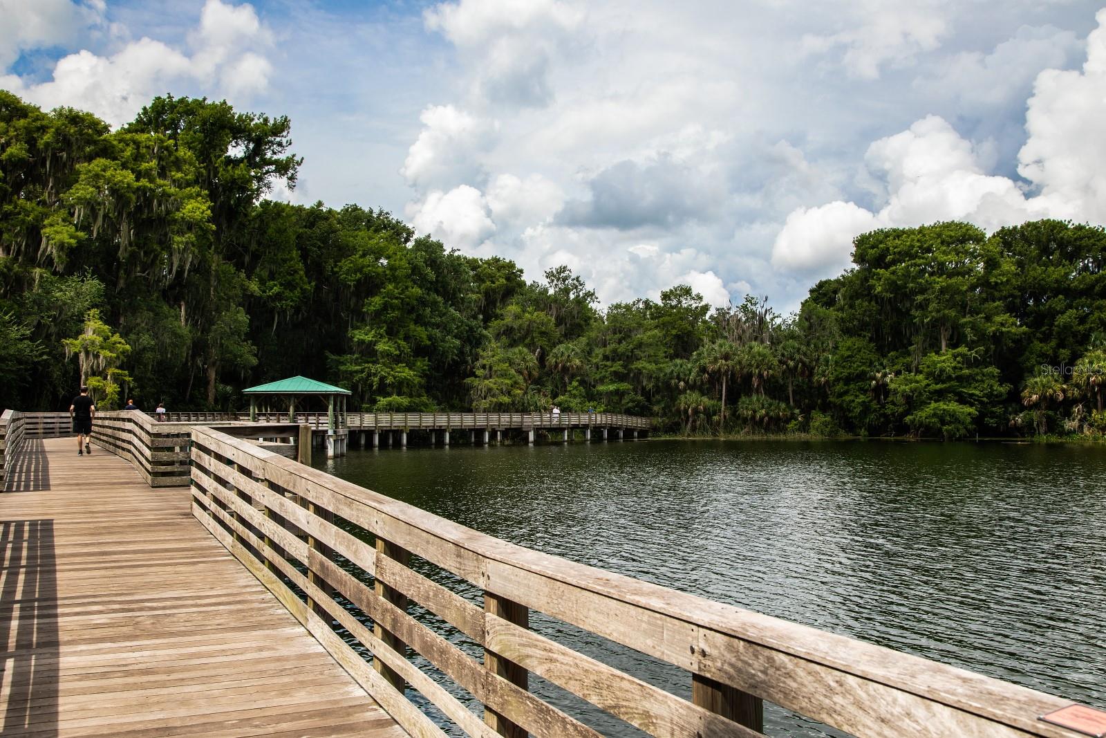 MOUNT DORA COLONIAL ARMS CONDO - Residential