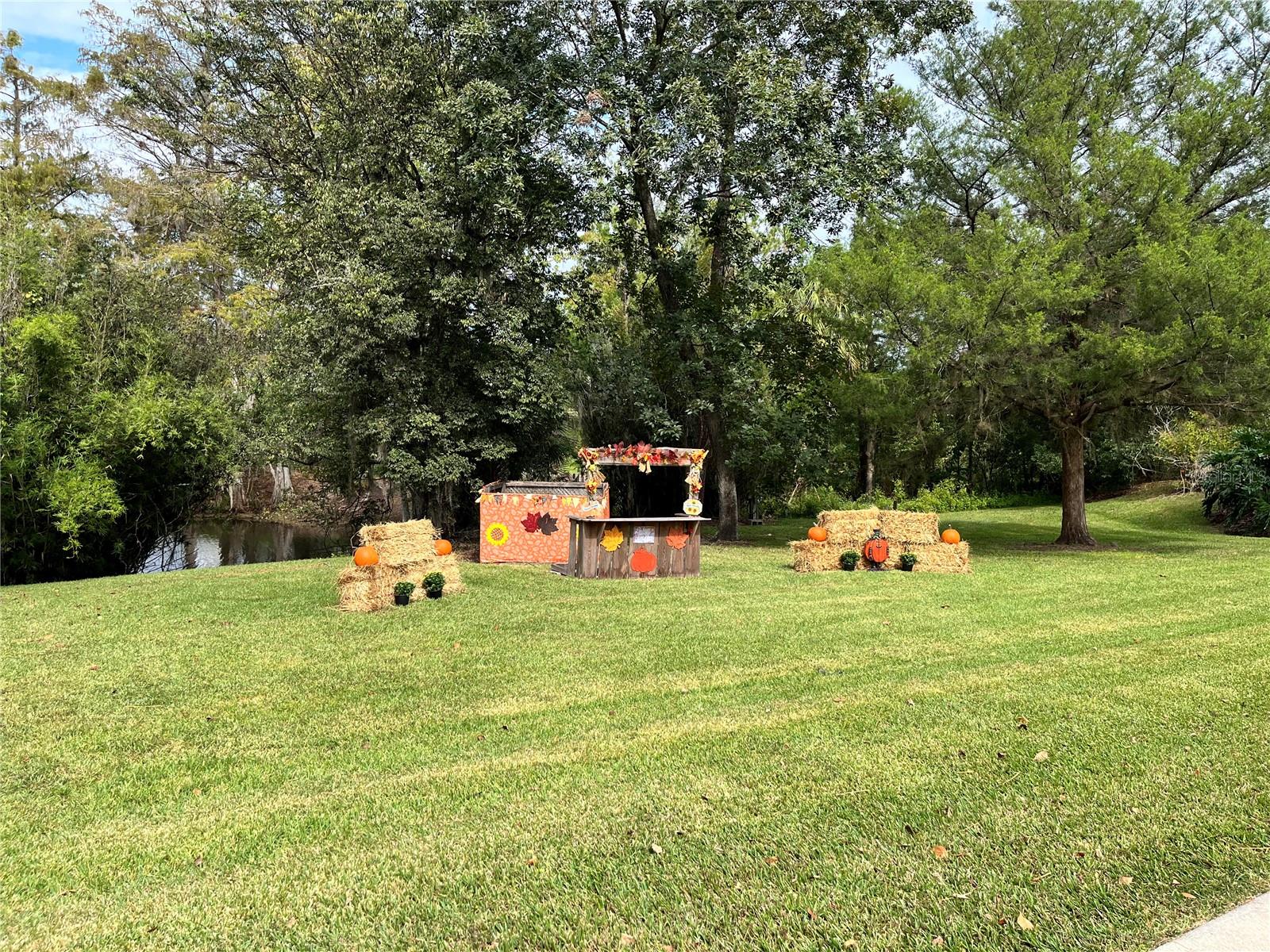 PRESERVE ESTATE - Land