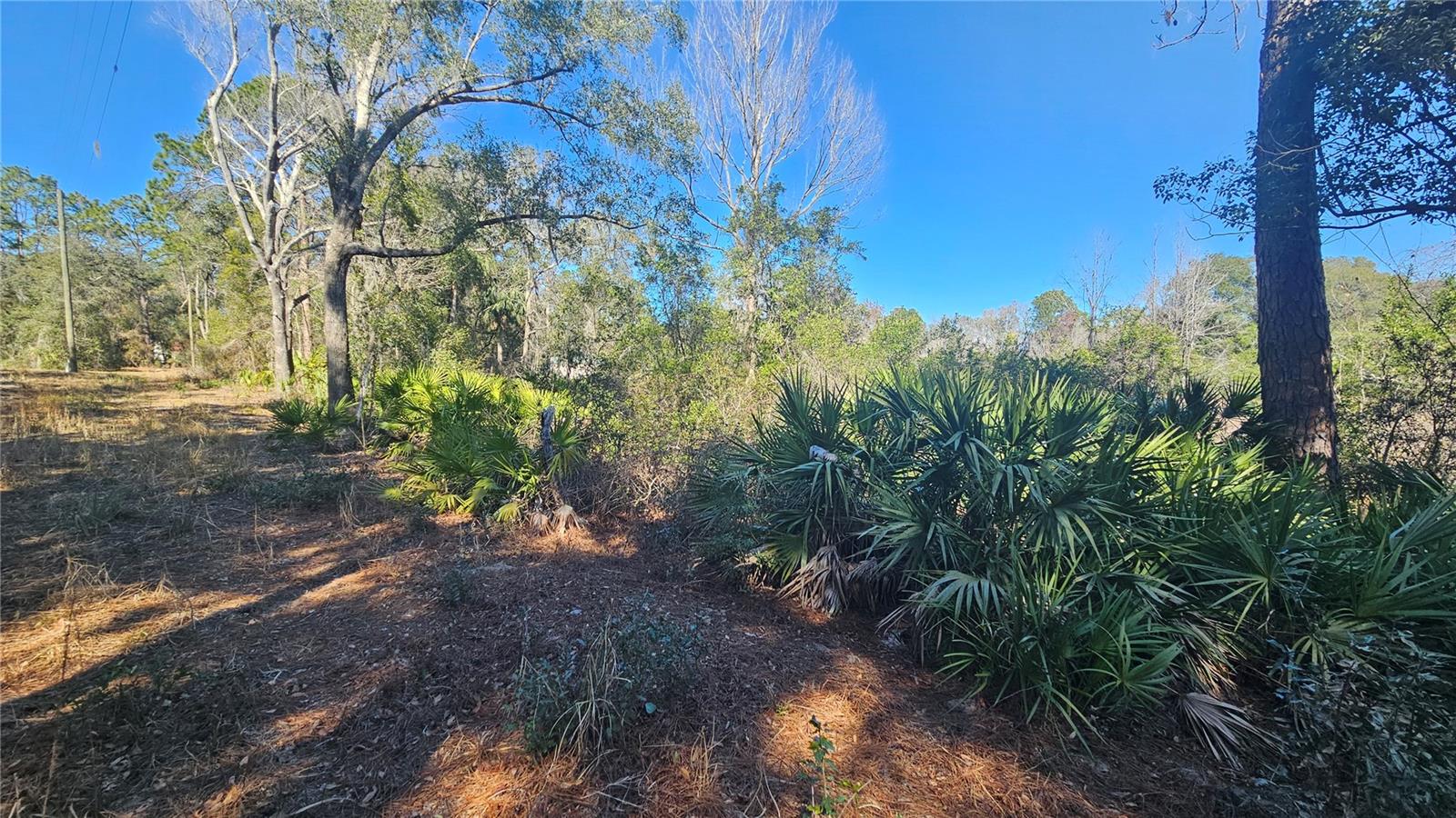 BLUE LAKE RIDGE - Residential