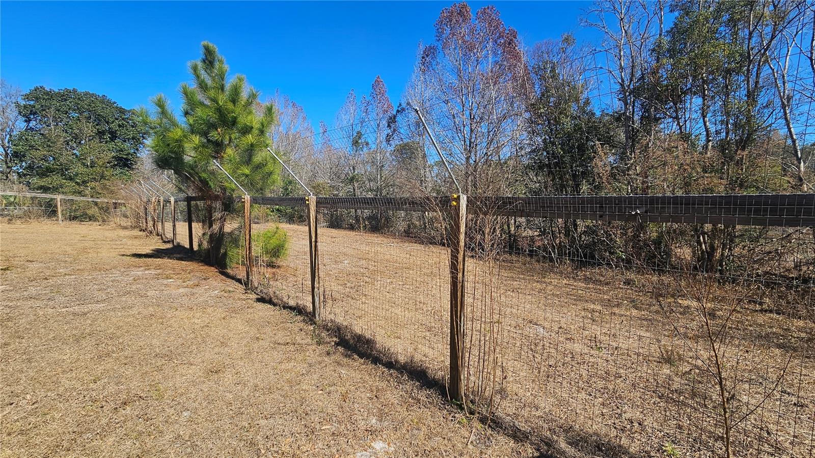 BLUE LAKE RIDGE - Residential