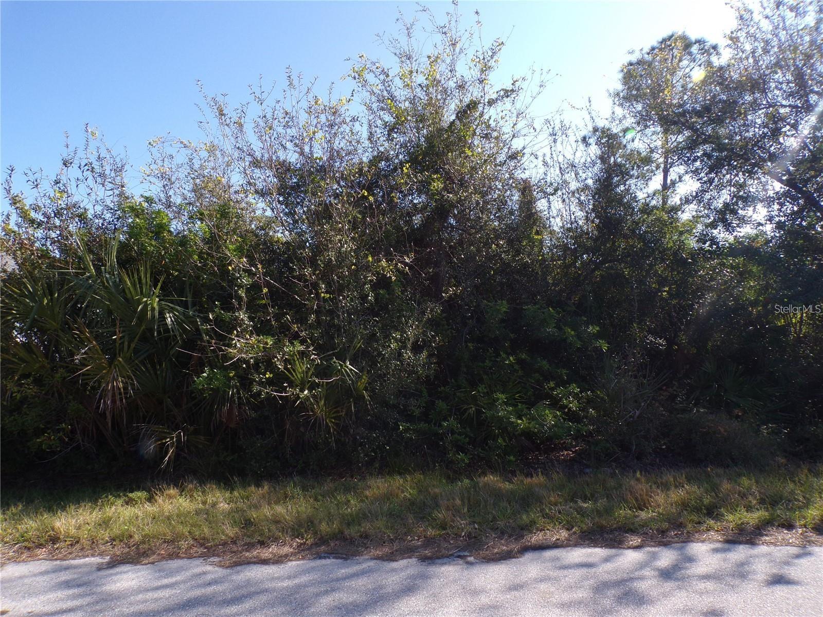 This lot is on a quiet street that would be a great place to build your dream home and retire or raise your family. Less than 4 miles to I75 makes this location an easy commute to almost anywhere, and only 24 miles to Chadwick park at Englewood Beach with amazing sunsets, 6 miles to Port Charlotte Town Center and only 4 miles Punta Gorda Historic district and waterfront park with lots of shopping and dining options. Tampa Bay Rays spring training and the fairgrounds are just minutes away, also multiple golf courses and some of the best boating and fishing in all of Florida. Red Soxs, Orioles, Twins and Braves spring training all within an hour’s drive. Buyer and buyers rep responsible for determining environment conditions and endangered species restrictions. This lot is priced to sell so please call for availability! This lot is at a great price point for the investor call today.