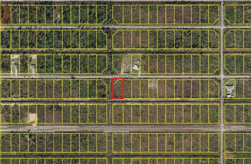 INDIAN LAKE ESTATES - Land