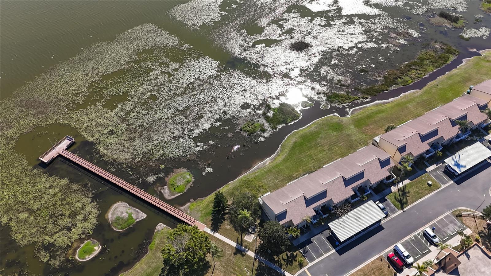 TOWNHOMES OF LAKE SEMINOLE - Residential