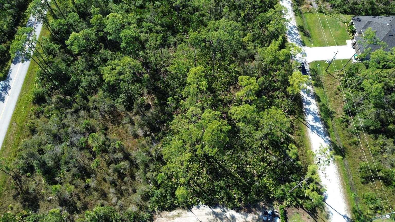 Discover this 0.36-acre double parcel in Punta Gorda, located in Charlotte County. Zoned RSF-3.5 for single-family residential use, this combined lot offers added space and flexibility for building a home or holding as a long-term investment. The property features level terrain, making it ideal for straightforward development with minimal site preparation. With dirt road access, you’ll enjoy a more private setting while still being within reach of nearby paved roads and growing residential areas. Punta Gorda is known for its coastal charm, boating lifestyle, and access to outdoor recreation. The property is within driving distance of Charlotte Harbor, offering fishing, kayaking, and waterfront dining. With no HOA restrictions, increased lot size from two parcels, and strong growth in the surrounding area, this property presents an excellent opportunity to build, invest, or secure land in Southwest Florida.