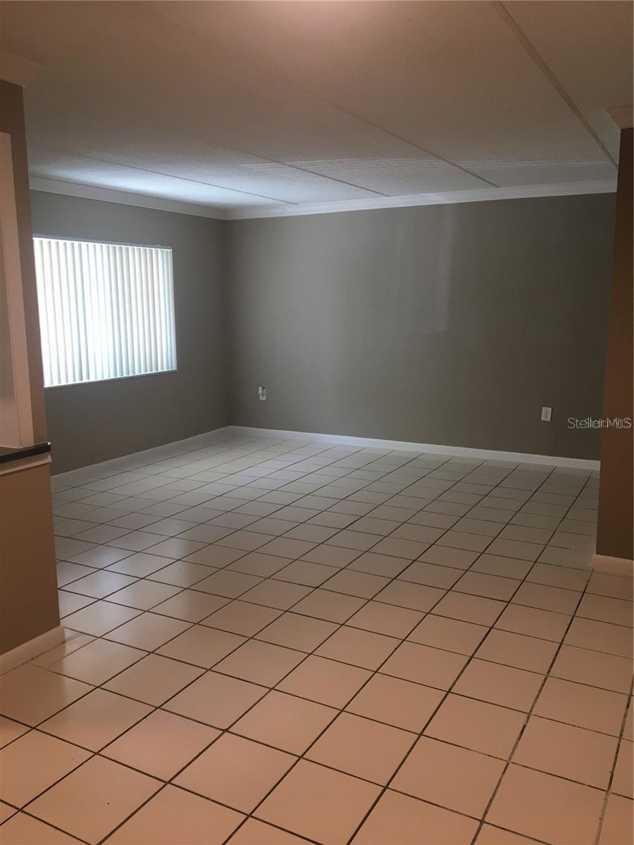 WASHINGTON SQUARE AT CLEARWATER CONDO - Residential