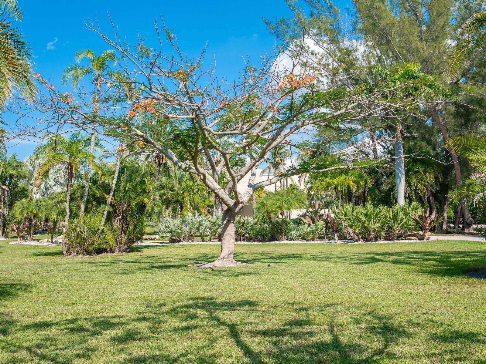 LONGBOAT KEY - Residential