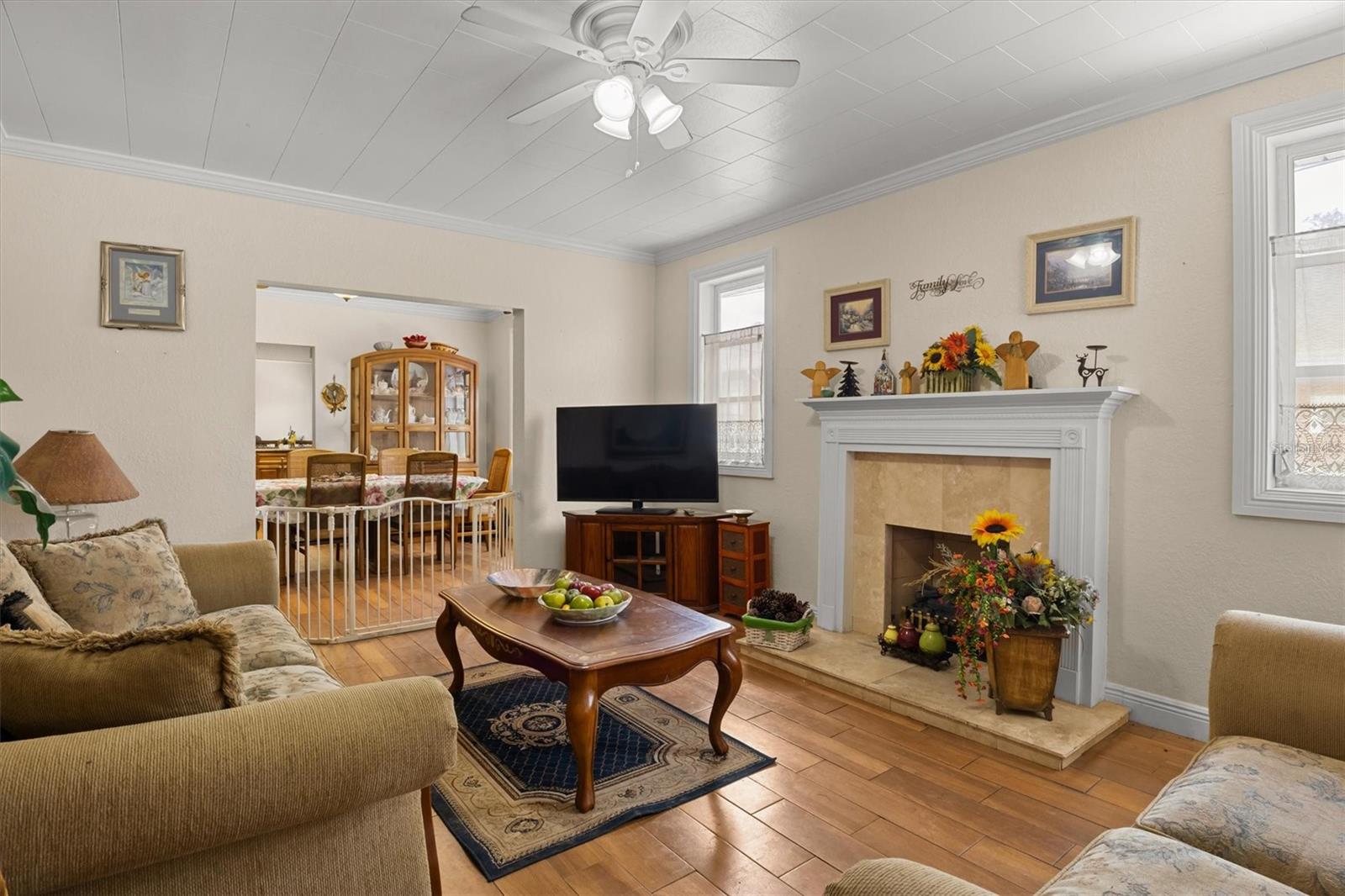 ORANGE PARK - Residential