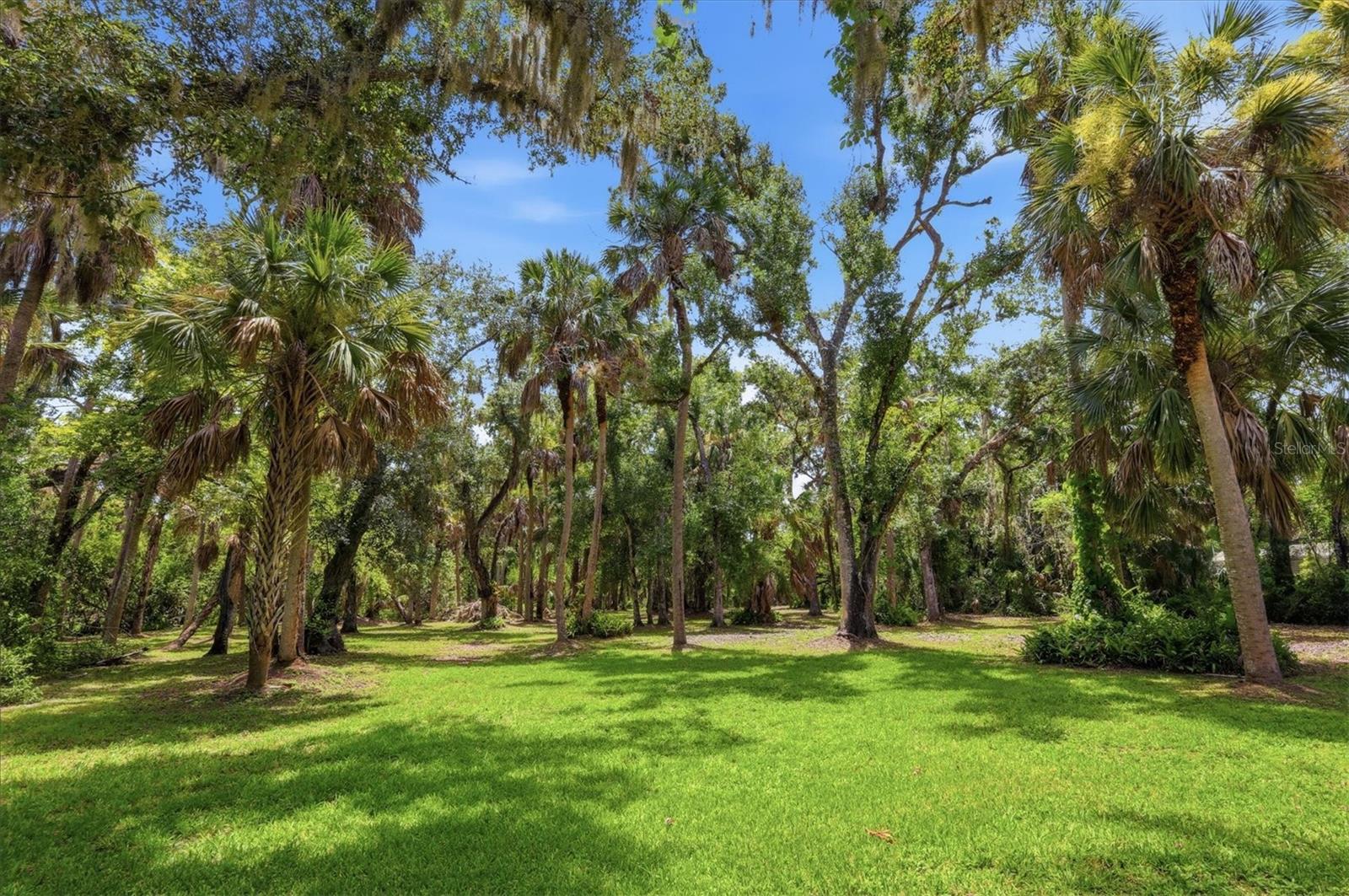 BRADEN OAKS - Residential