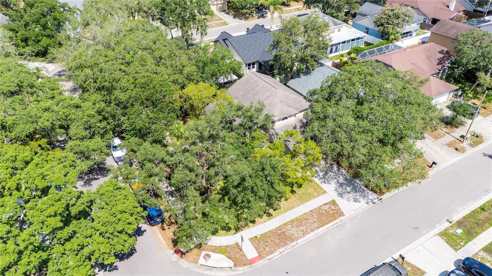 BLOOMINGDALE - Residential