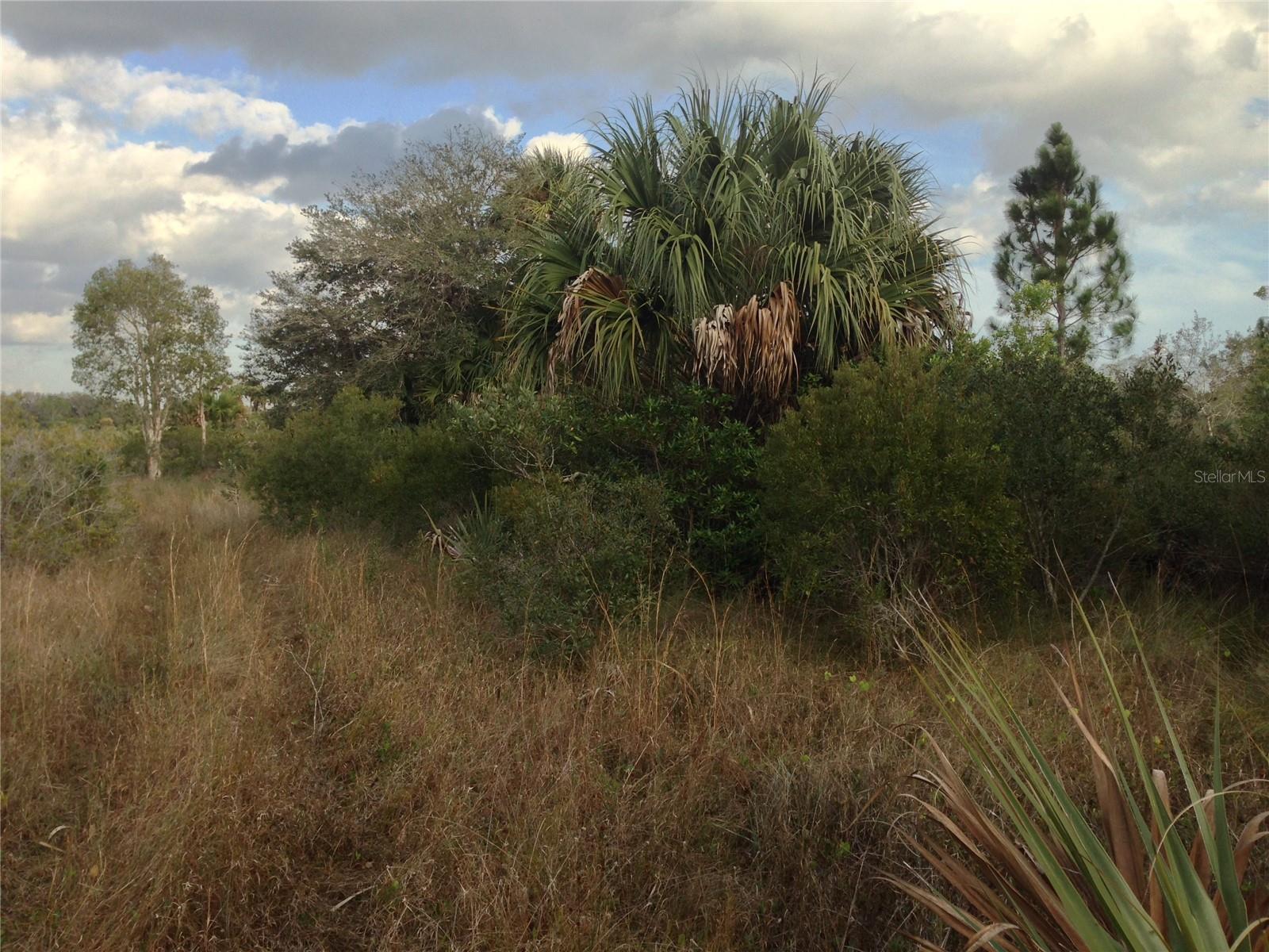 GOLDEN RANCHES 27 - Land