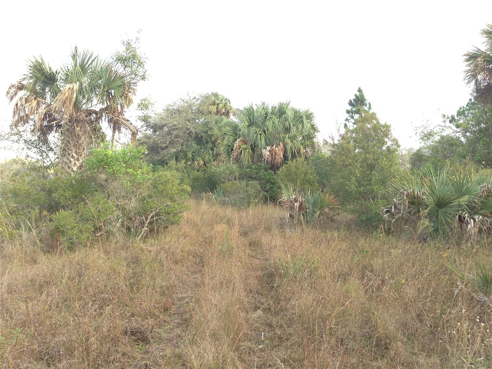GOLDEN RANCHES 27 - Land