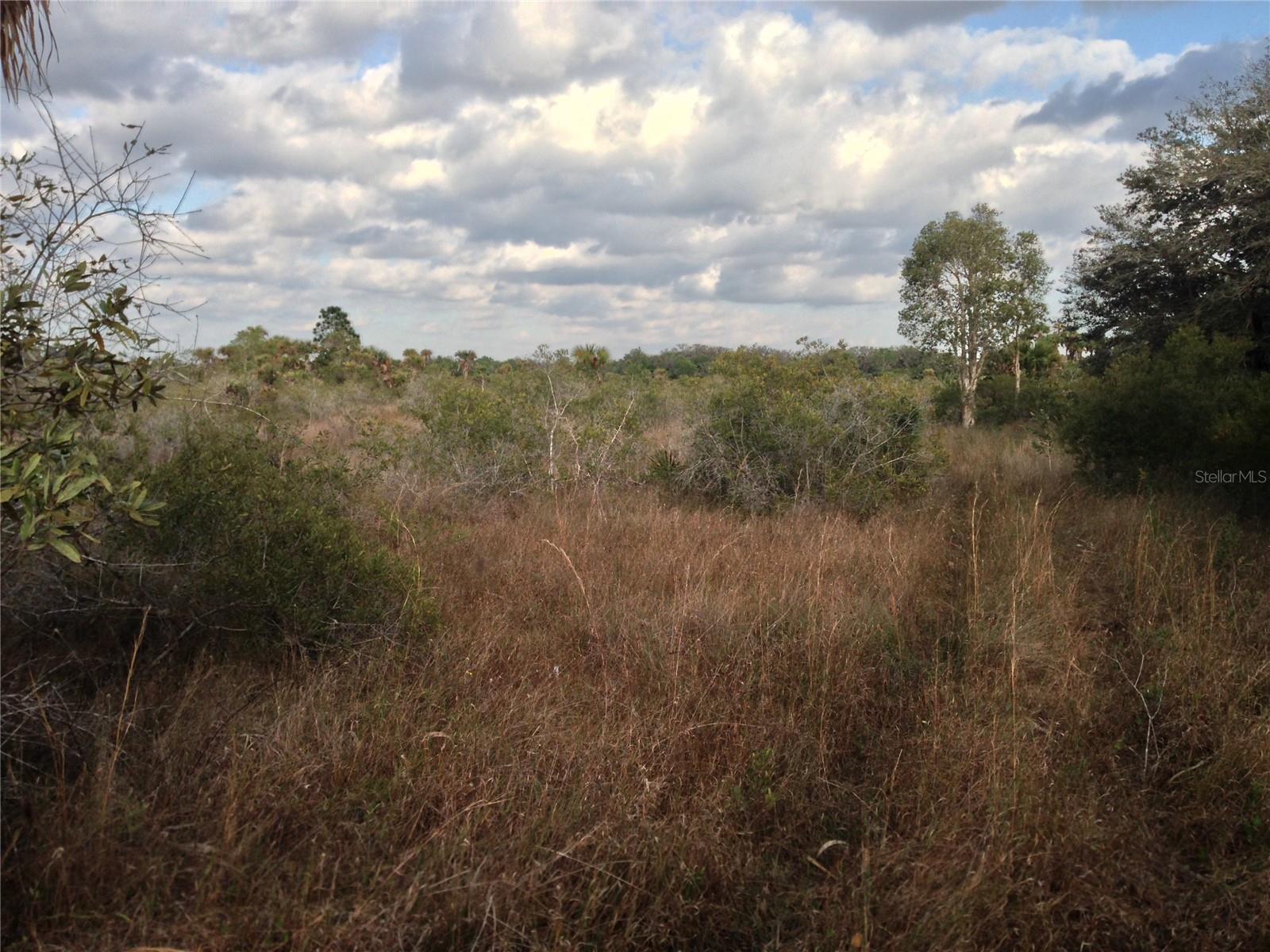 GOLDEN RANCHES 27 - Land