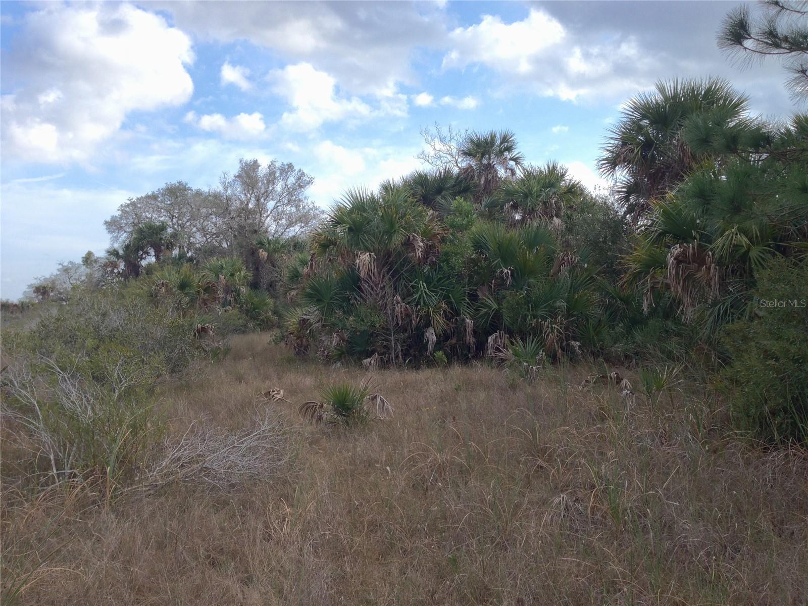 Welcome to "The Huntsman Reserve," one of the best-priced 5-acre parcels in Golden Ranches and eastern Charlotte County! This stunning, native agricultural-zoned tract features a small hammock of mature oaks and cabbage trees. Wetlands on the property create a natural haven, making it perfect for recreation, or a private conservation retreat. The Babcock Preserve entrance is just east of here for recreation and hunting, when permitted.  Enjoy ultimate freedom with NO DEED RESTRICTIONS. Bring your horses, start a small farm, or build your dream farmette or ranchette. (AG zoning permits 1 home per parcel).   Well, septic are required; electric is at the property, which is a rarity in most rural communities and phone utilities are located just two lots to the south. Accessible is very easy…via a privately maintained marl road less than 1 mile from SR74.  Elevation is at a desirable 50–60 ft. in the general area. Experience peaceful country living with breathtaking sunrises, vibrant sunsets, clear starry nights without streetlights, and distant views of the Fort Myers skyline. Nestled in a quiet area of east Charlotte County where homes are scattered amongst large ranches, former citrus groves, a huge state game preserve with access nearby and scattered small farms and ranches, this is the ultimate private paradise.