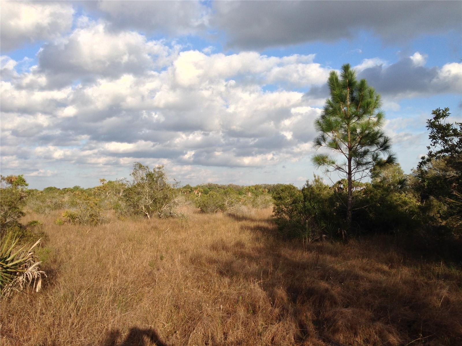 GOLDEN RANCHES 27 - Land