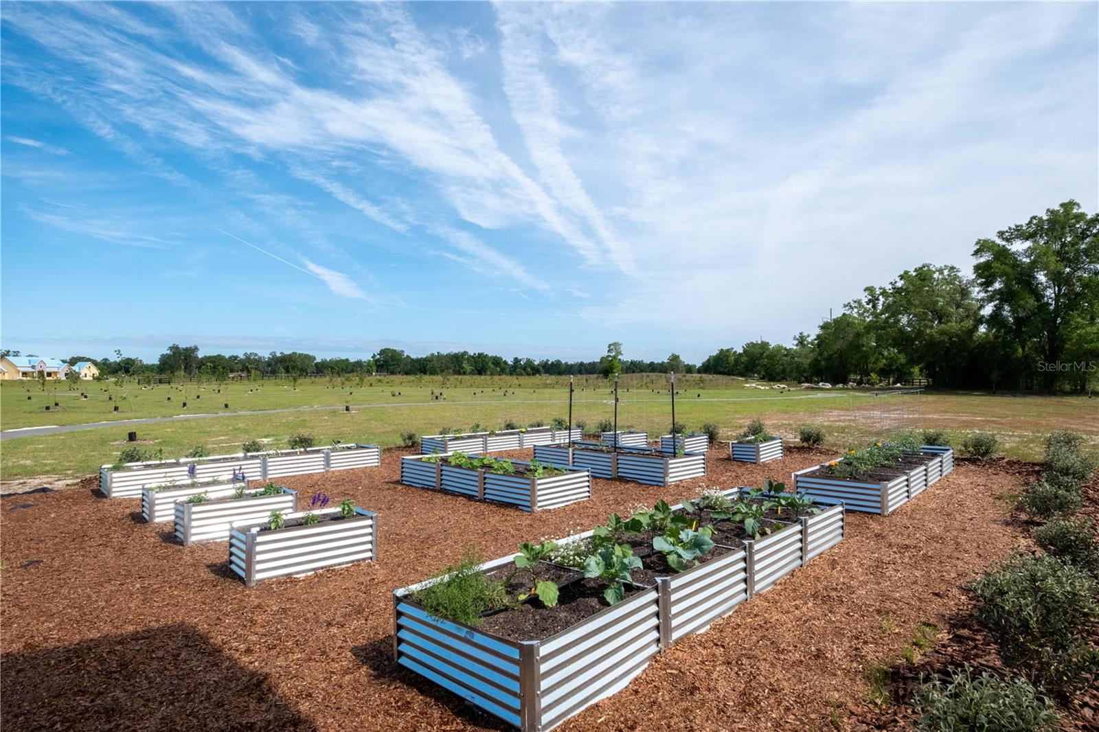 FLINT ROCK AGRIHOOD/THE PARKE - Land