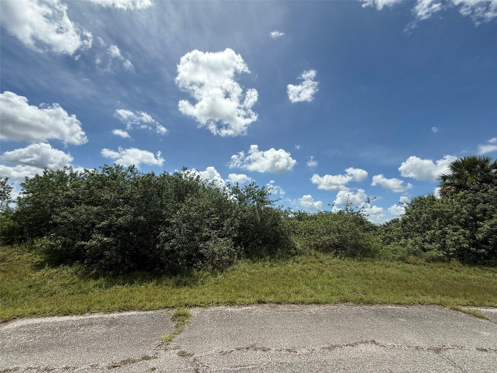 Build your dream home on this spacious lot located in the desirable Port LaBelle community. Nestled in a growing residential area, this property offers paved road access, nearby utilities, and a peaceful neighborhood setting. Enjoy close proximity to schools, shopping, dining, and the Caloosahatchee River, while still maintaining the privacy and charm of a small-town feel. Whether you're planning to build now or invest for the future, this lot presents a great opportunity at an affordable price.